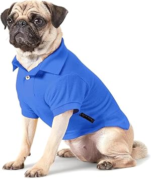 Dog Life Cute Summer Dog Clothes