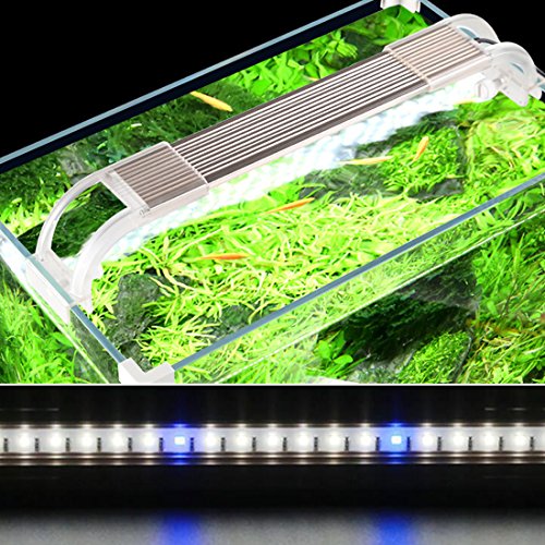 JackSuper Aquatic Plant Aquarium Light for Small Fish Tank Growth Planted Lighting with Extend Brack JackSuper Aquatic Plant Aquarium Light for Small Fish Tank Growth Planted Lighting with Extend Brack