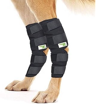 dog braces for weak hind legs