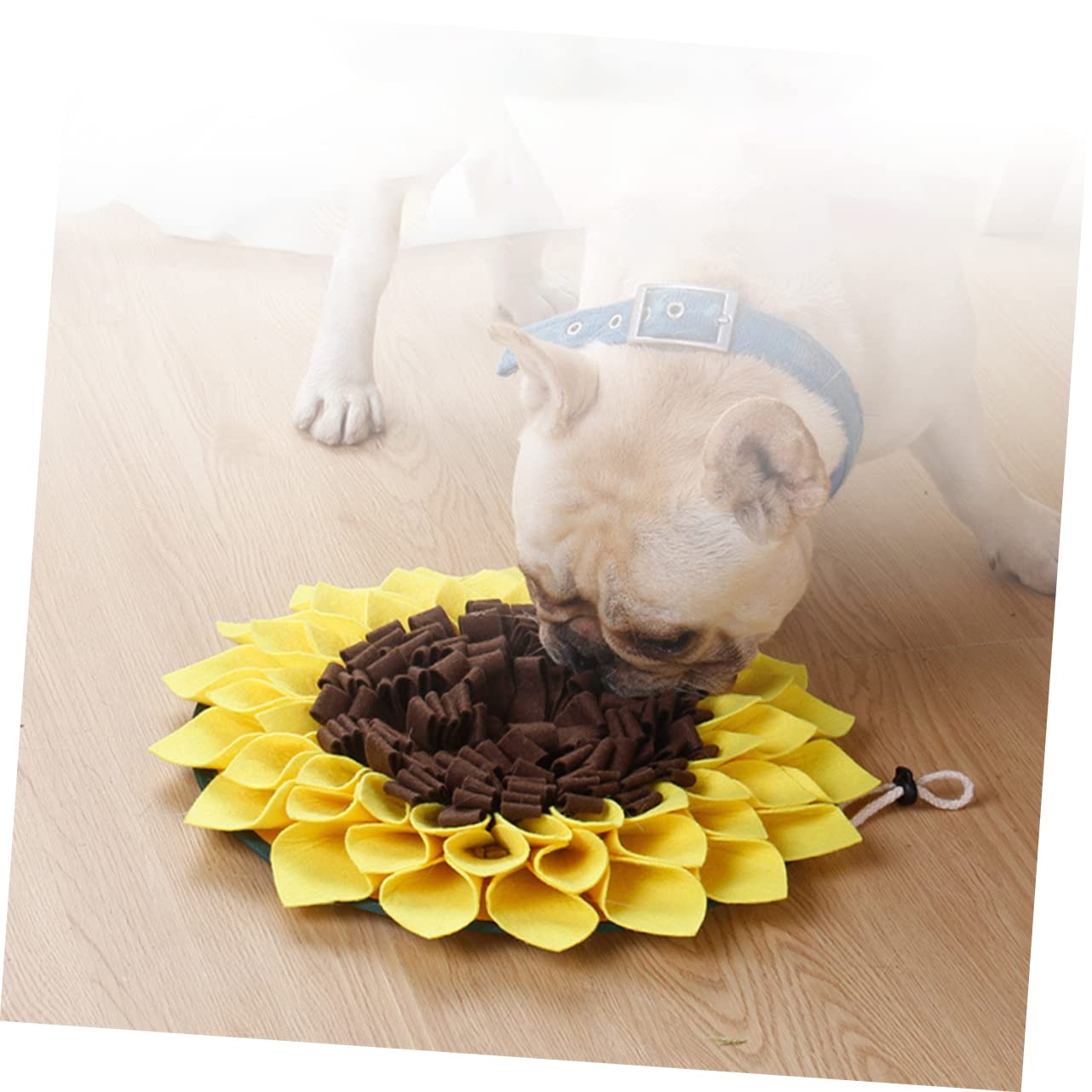 Housoutil Tapis De Reniflage pour Chien 3 Pièces Tapis Dalimentation pour Animaux De Compagnie pour La Recherche Lente De Nourriture des Chiots