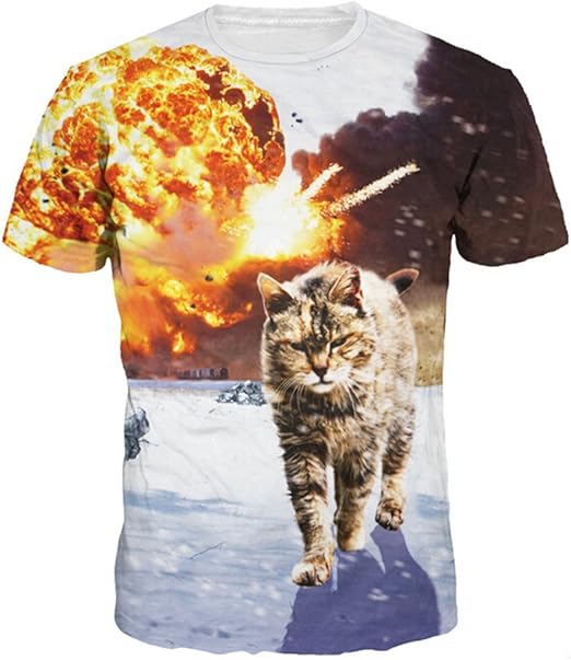 Amazon Wiboyjp メンズtシャツ リアル プリント 猫 ネコ 3d ヒップホップ メンズ 3d 春 夏 猫柄 ストリート トレンド スウェット T Shirt 3dtシャツ 半袖tシャツ サマー Tシャツ カットソー 通販