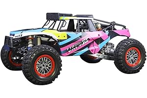 1/5th Scale RC Outcast Stunt Truck