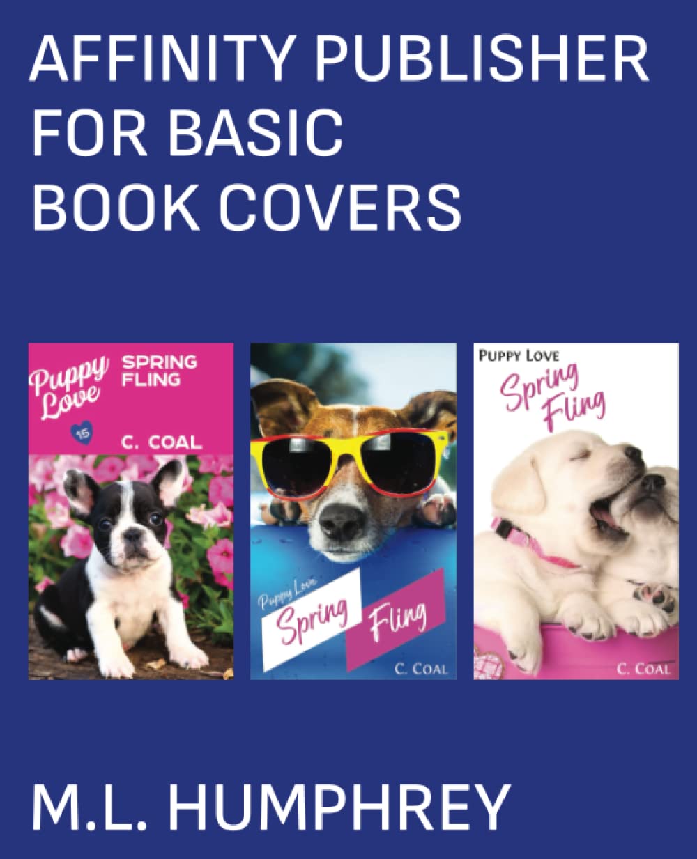 Affinity Publisher for Basic Book Covers