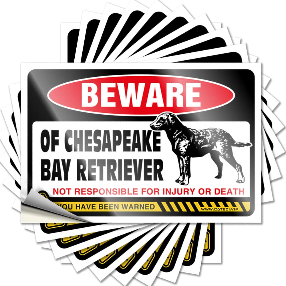 Scented Bumper Aesthetic Decals, Shower Decor Cute Pattern Design for Car Notebook | Decor Removable Vinyl Beware of Chesapeake Bay Retriever(8X12CM)