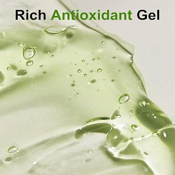 75 Green Tea Face Wash, Hydrating Facial Cleanser with Vitamins A, C, E, and Kale Extract, Gentle Facial Cleanser for Women, Vegan, pH-Friendly, Water-Based for All Skin Types, 237ML/8 oz