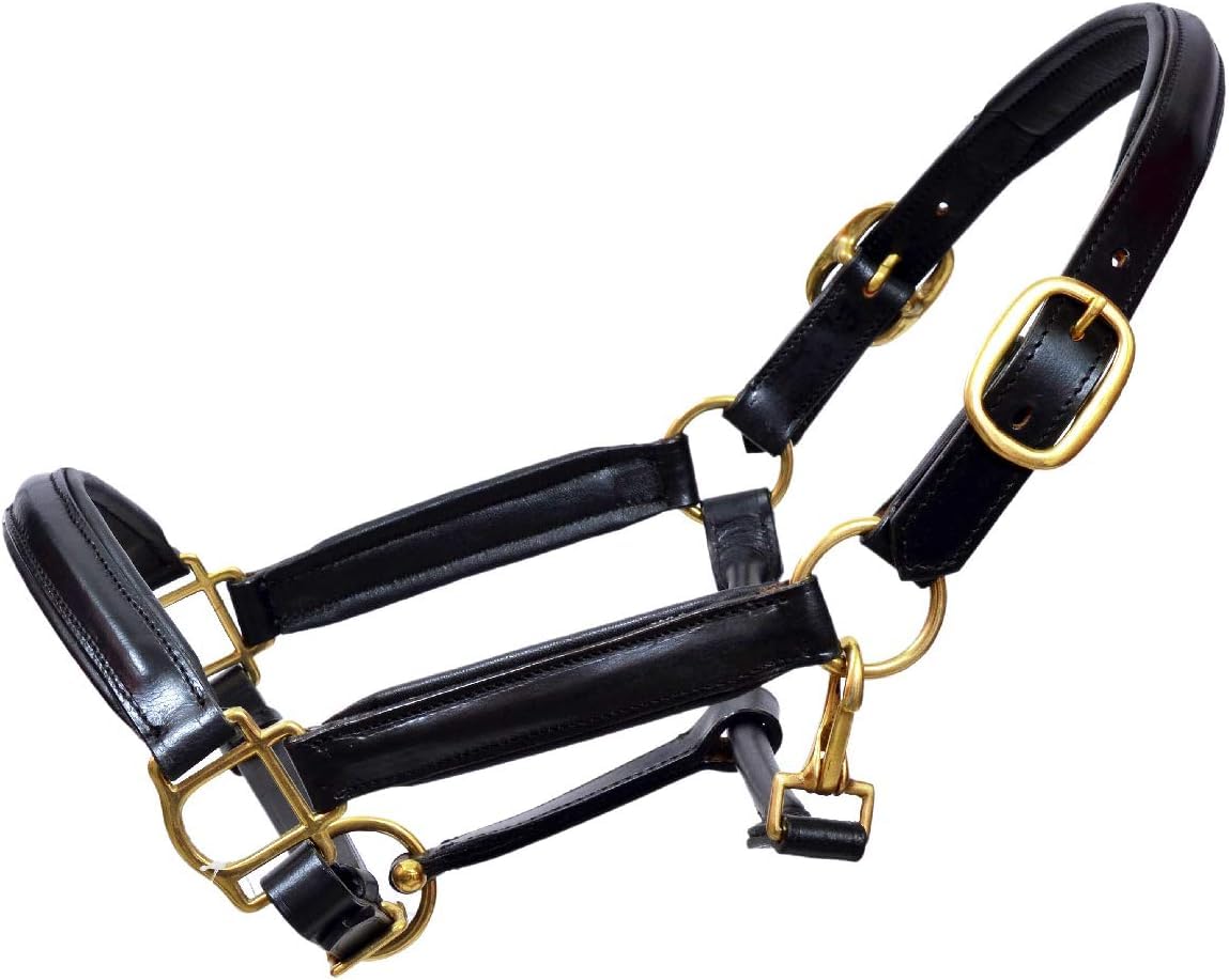 Lederhalfter für Pferde, vollständig erhoben und gepolstert, schwarze Messingbeschläge, Größe X-Full, Full, Cob, Pony
