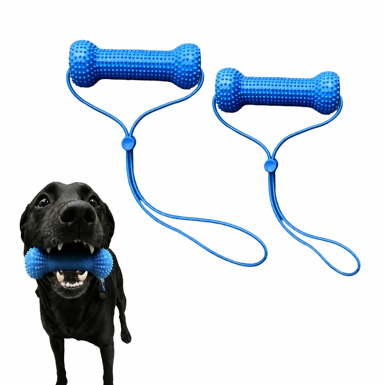 Zahnarzt-Requisite für Hunde, Kauspielzeug für Hunde, zum Zähneputzen