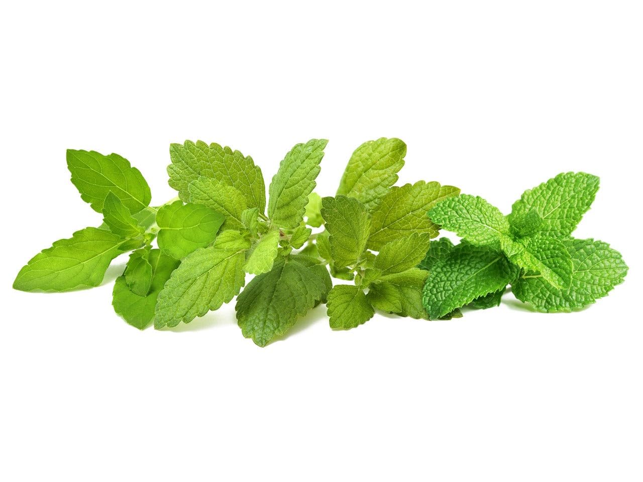 Click & Grow Plant Pod Calming Tea Mix 9 Stück