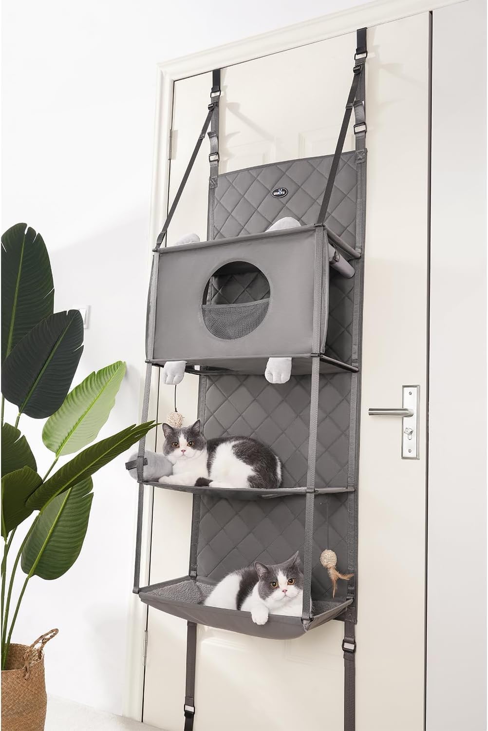Albero per gatti da appendere – Amaca da parete per gatti da appendere alla porta, per interni, letto sospeso/rialzato, 4 piani con cuscino rimovibile, tenda avvolgibile e giocattolo a sfera