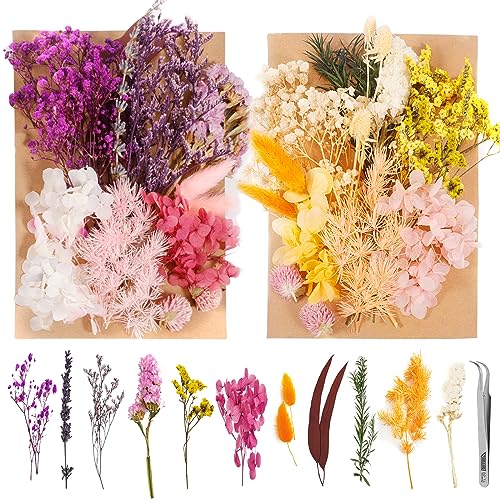 POWZOO Flores Secas Naturales- 2 Paquetes de Flores Secas A5 con Pinzas - Flores Preservadas,Flores Secas Manualidades, Manualidades, Tarjetas Resina Velas de Bricolaje y Álbumes de.