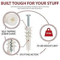 Vista 2 de Juego de 120 piezas de anclajes y tornillos autoperforantes #8 para paneles de yeso #8 x 1-1/4" - Magníficos anclajes de pared para paneles de yeso