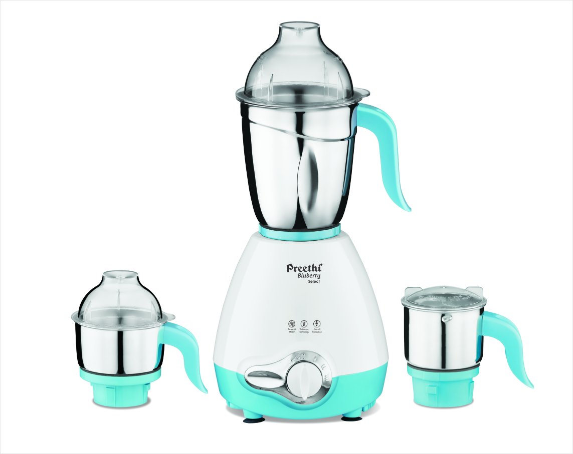 blueberry mixer grinder price