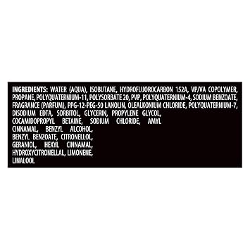 Extra Hold Hair Mousse 24H Touchable Hold & Volume All Hair, 10.5 oz (1 Pack)