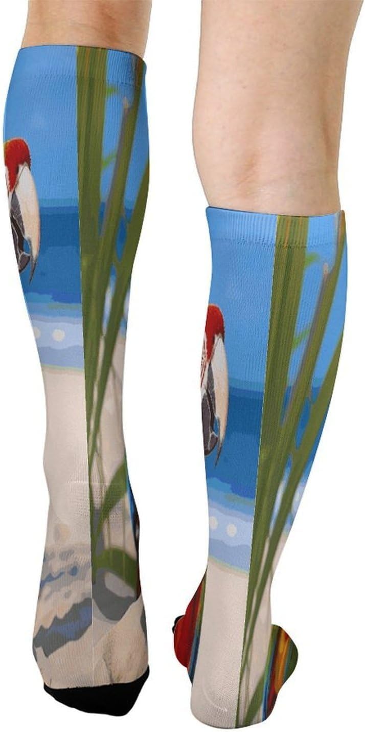 Beach Parrots Crew Socks Calf Socks Athletic Crew Sock