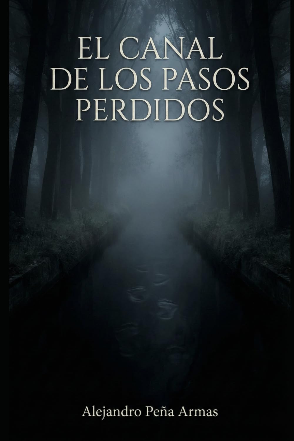 El Canal de los Pasos Perdidos: Una novela de terror psicológico y horror urbano