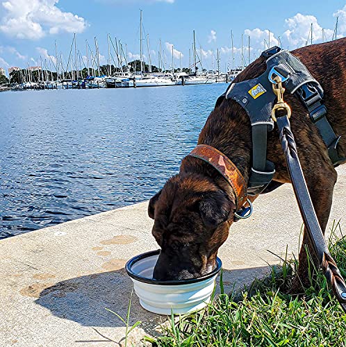 Katzentragetasche mit Schultergurt, EZGETOP Faltbare Hundetragetasche Hundetransportbox hundetransportkäfig, mit Faltbare Hundenapf für Hunden oder Katzen - Image 8