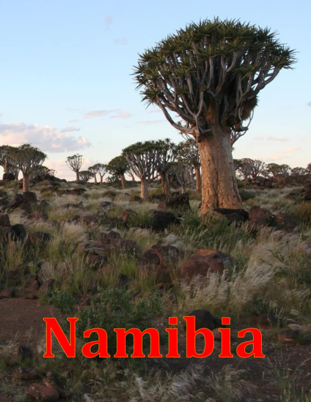 Namibia: Namibia's Wildlife Wonder, An Inspiring Photographic Experience, Namibia's Majestic Creatures, A Coffee Table Book of Wildlife (Places Around ... Take Your Breath Away, Tourism Guide Book)