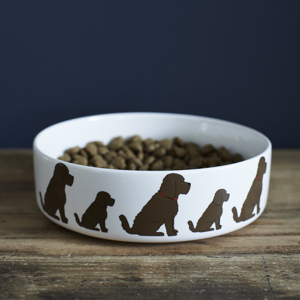 Cockapoo dog bowl