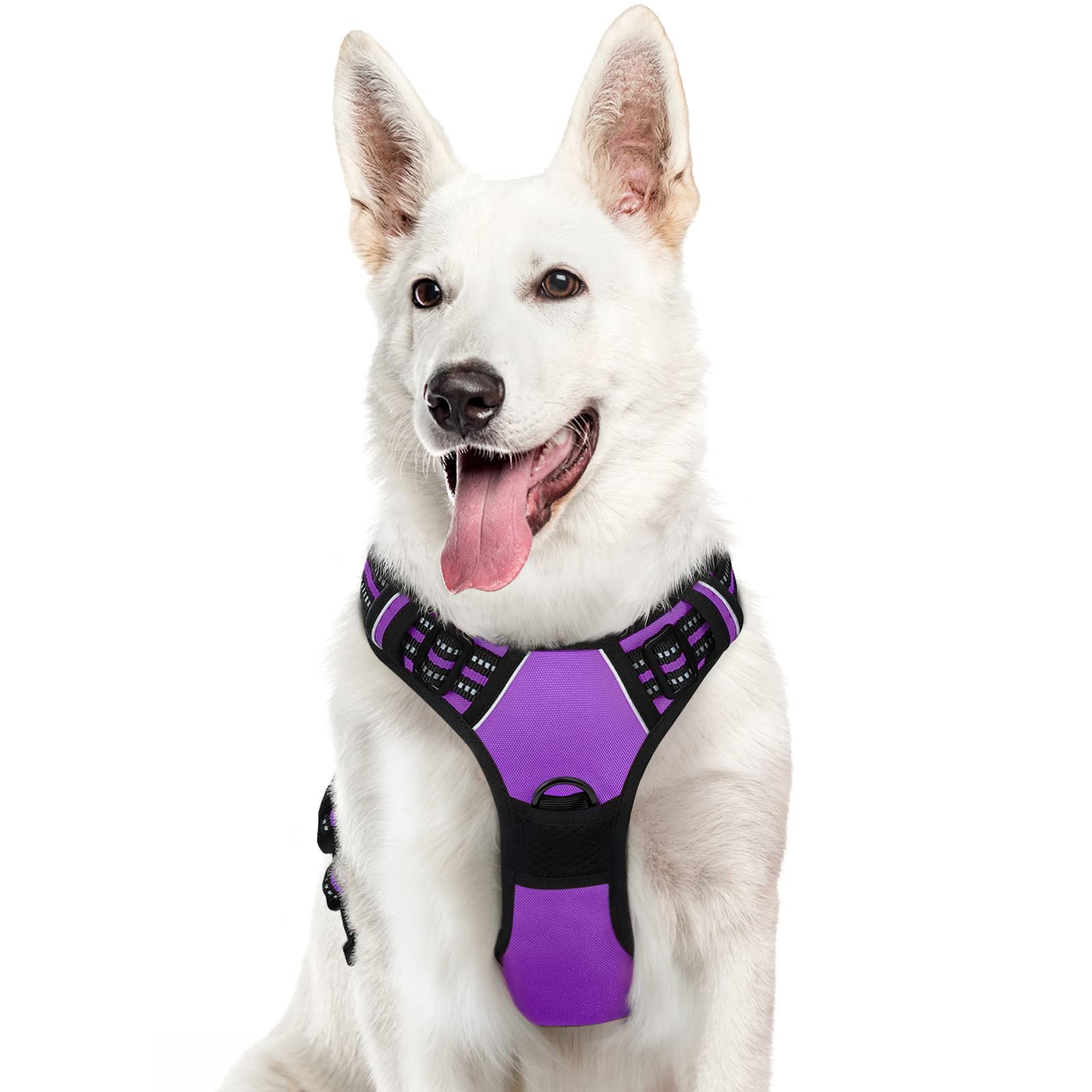 Eagloo Pettorina Cane Taglia Grande, Pettorina ad h Antifuga, Imbracatura per Cani Anti Tiro con Doppio Gancio, Imbracatura Robusto e Regolabile per Addestramento Passeggiate, XL, Viola