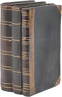 Guichifun Resin Retro Classical Decorative Books Set of 3 - Fake Coffee Table Books, Harry Potter Inspired Magic Decor for Living Room, Shelves 4.2x2.7x6.2in