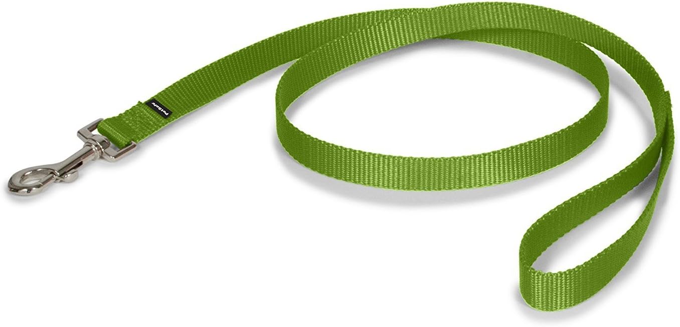 PetSafe Leash, 3/4" x 6', Medium, Apple Green
