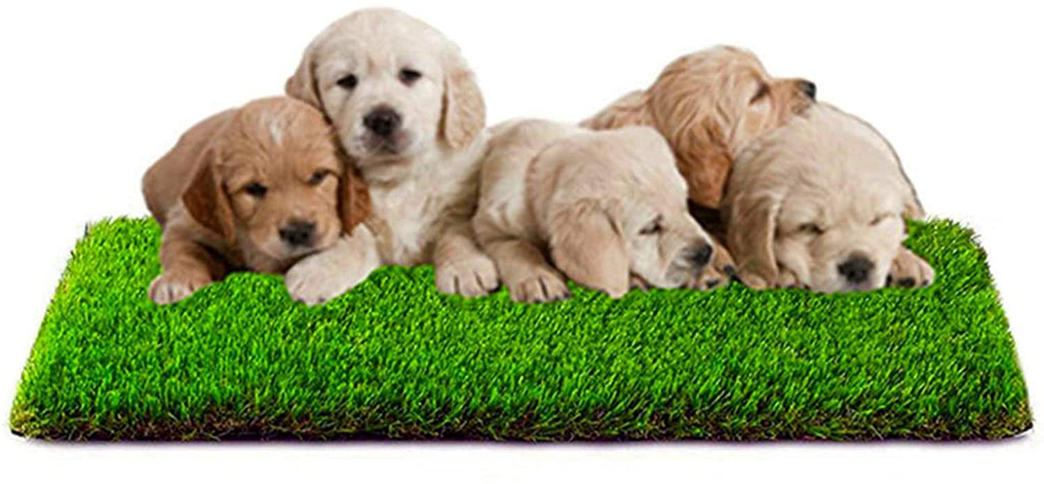 BRUSHFINCH Artificial Grass Professional Dog Mat, Potty Training Rug and Replacement Artificial Grass Turf, Large Turf Outdoor Rug Patio Lawn Decoration, Easy to Clean with Drainage Holes(37 * 55 Cm) (B093KV1FWH) Amazon Price History, Amazon Price Tracker
