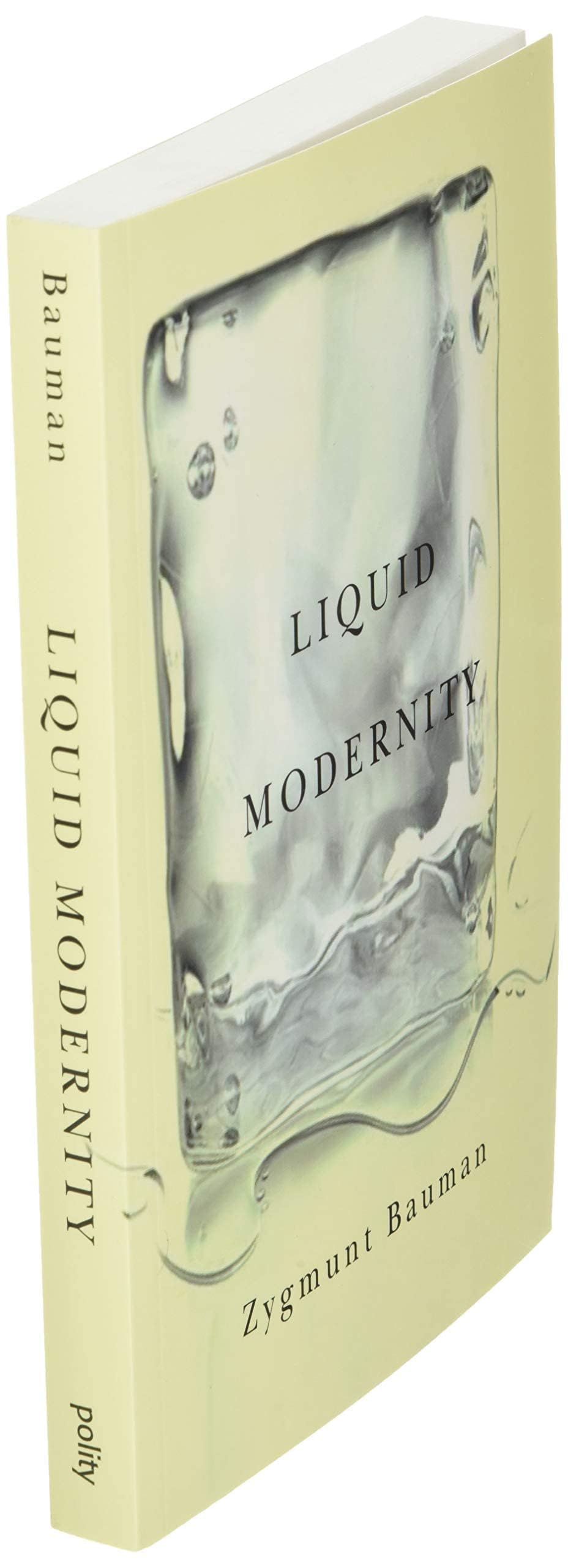 Liquid Modernity