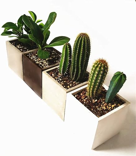 Miniatura 5 de Molde de silicona grande para macetas de hormigón cuadrado de 6 pulgadas, molde de silicona para suculentas, molde de silicona casero para