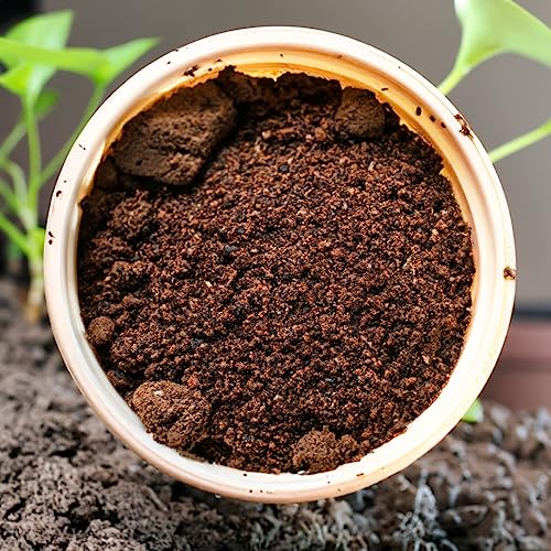 1kg Pure Neem Cake Powder for Plant & Soil Care - Image 2