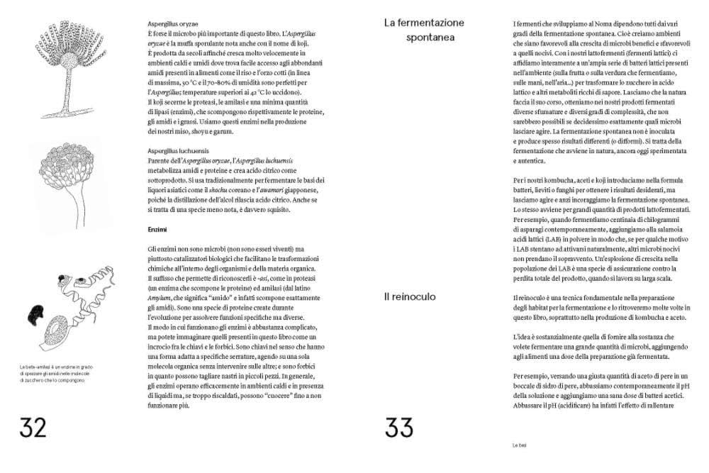 洋書 Noma La guida alla fermentazione Noma : la guida alla fermentazione. Tutto comincia dal gusto