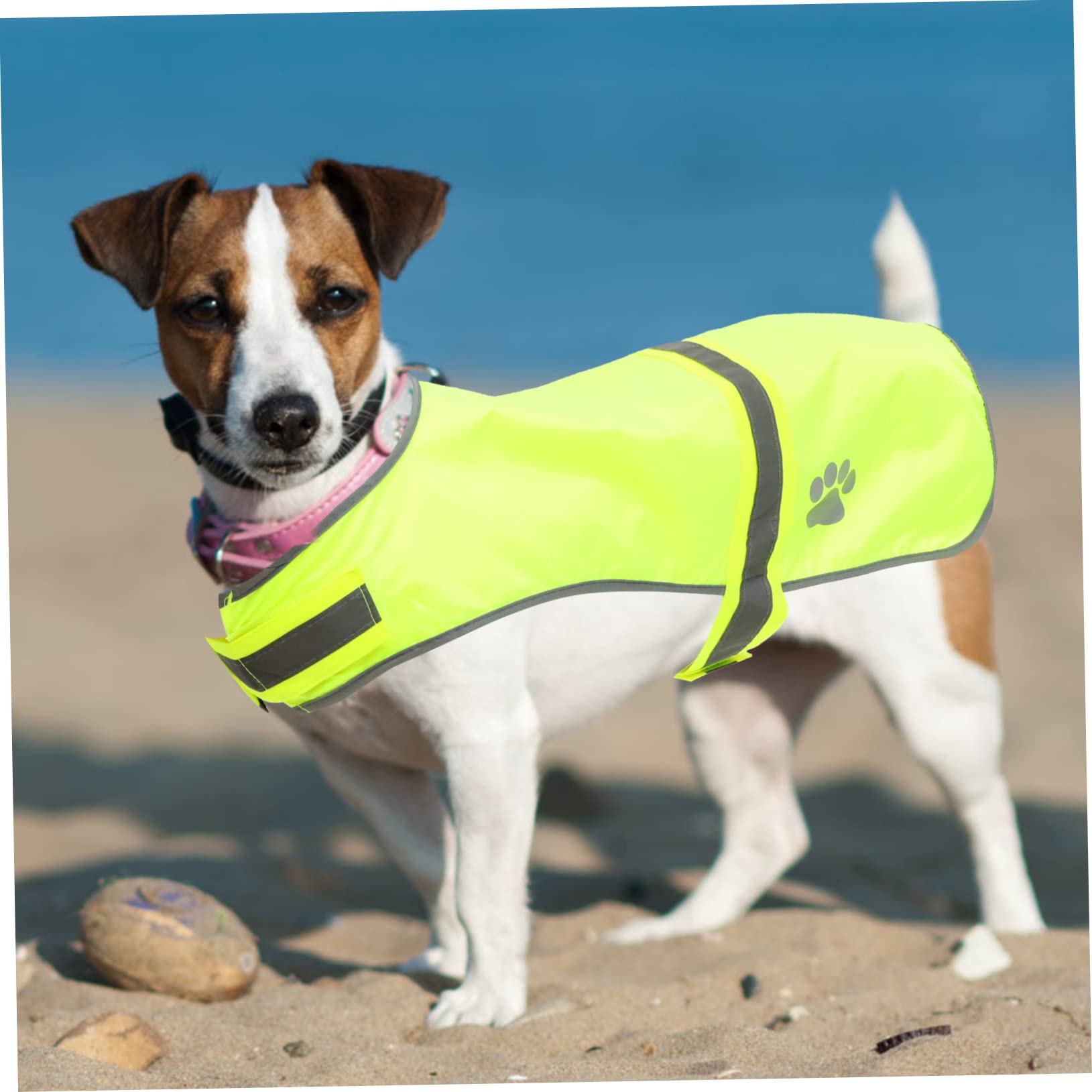 Sosoport 3piezas Chaleco Reflectante para Perros y Transpirable Ropa Fluorescente De Alta Visibilidad para Mascotas para Paseos Nocturnos y Actividades Al Aire