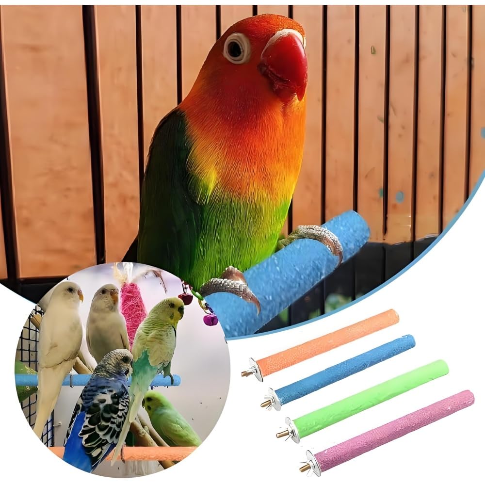 2Pcs Parrot Perch Stand, Natural Wood Bird Perch Stand Platform Paw Grinding Sticks, Cage Accessories Exercise Toys for Budgies Parakeets Cockatiels (Random Color) - image 5