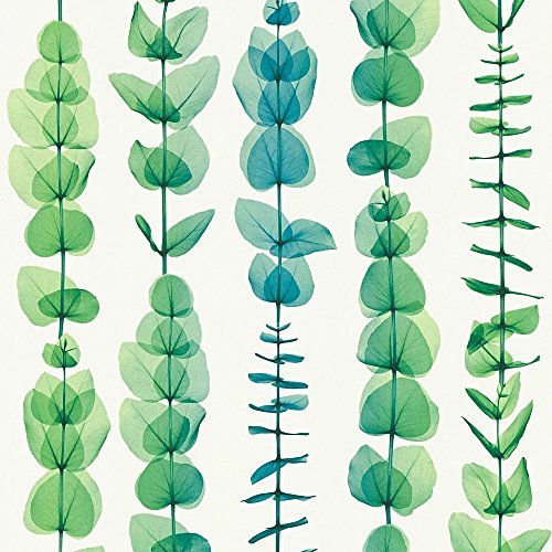 A.S. Creation 342464 Non-Woven X-Ray Collection Wallpaper, Multi-Colour, 10,05 m (Länge) x 0,53 cm (Breite)
