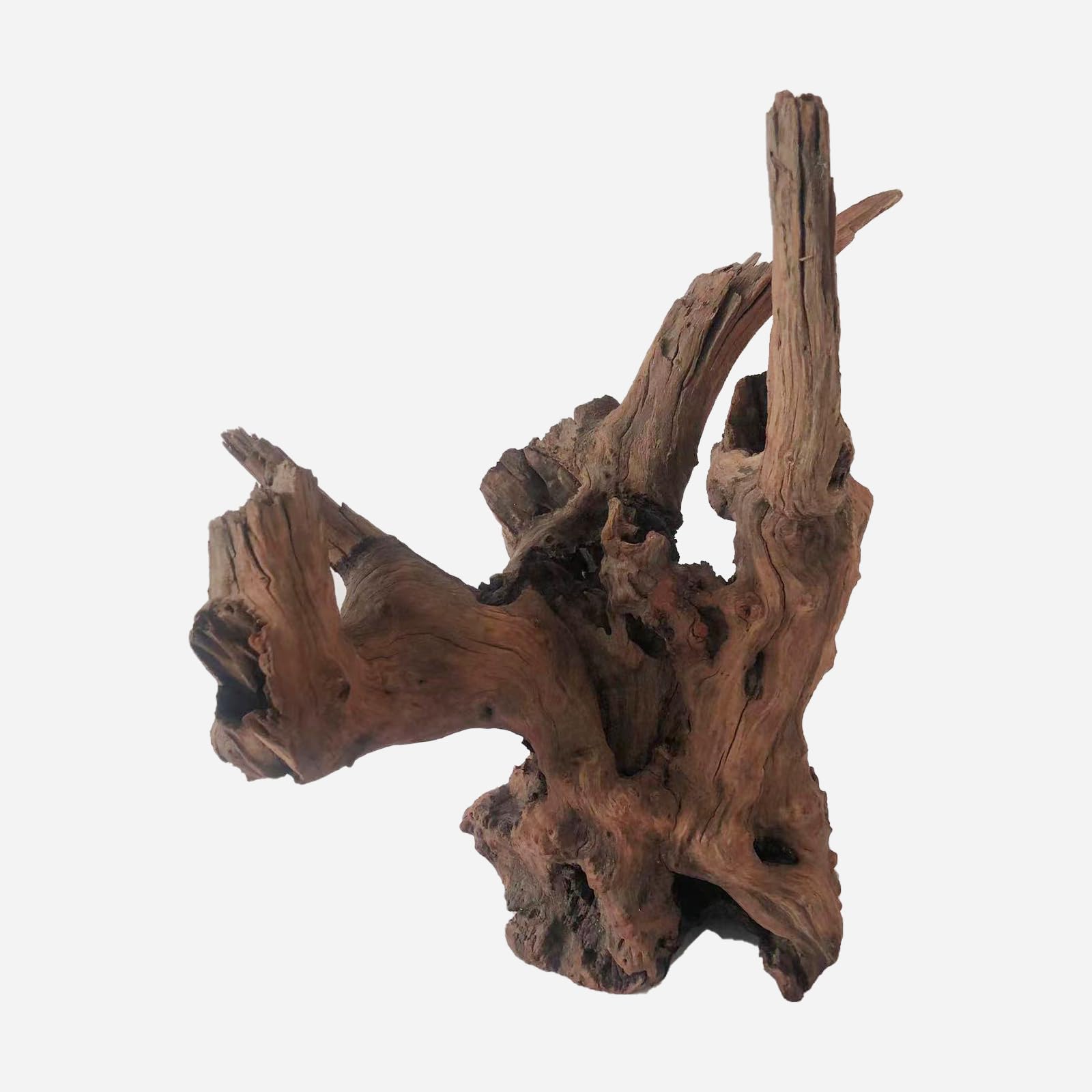 LYPHARD AQUARIUMS Natural Driftwood for Aquarium Decor, L12.2×W9.06×H14.96 Inches Large Drift Wood Decorations for Reptile Hide, Fish Tank, Optional Shapes