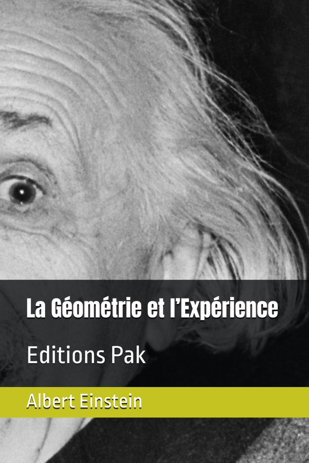 La Géométrie et l’Expérience