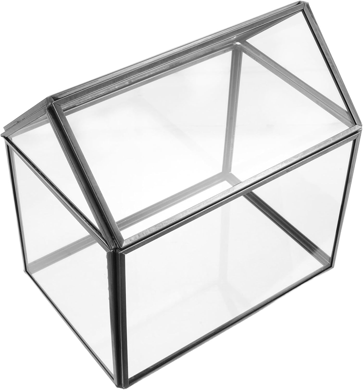VANZACK House Shape Terrarium Box with Lid, Geometric Glass Planter for Air Plants and Succulents, Miniature Indoor Greenhouse Centerpiece for Tabletop Display, Black Frame