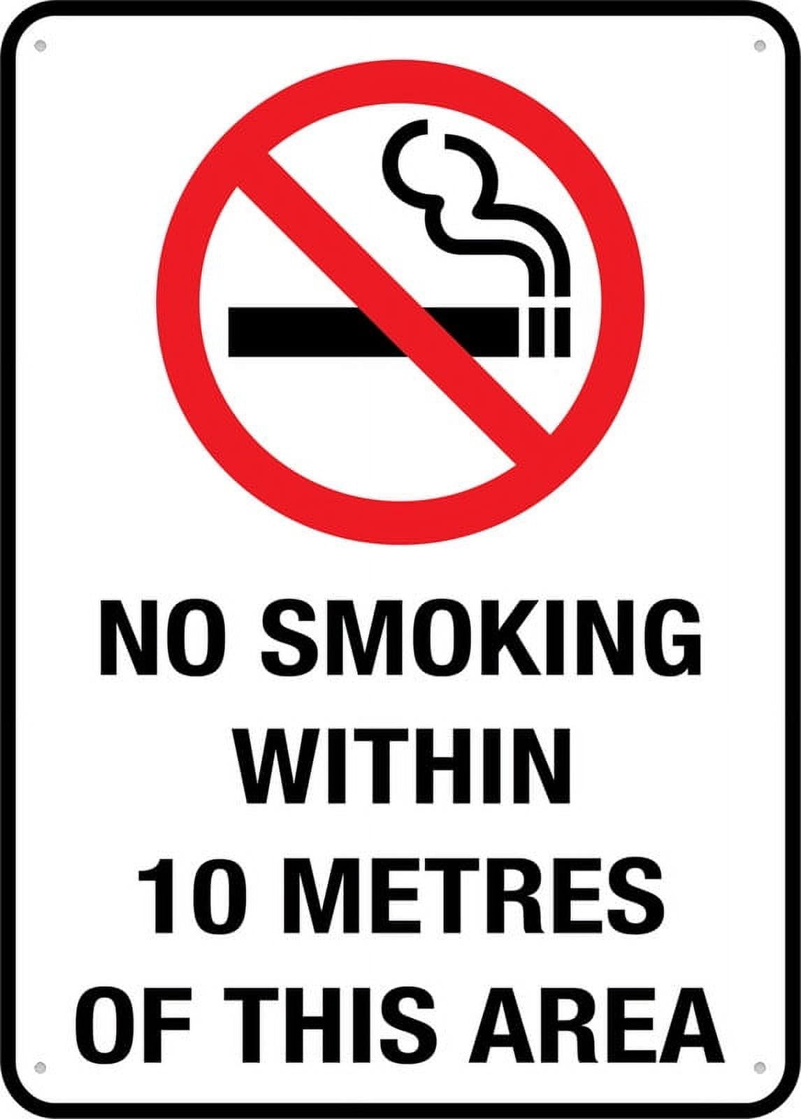 peiyeety No Smoking Within 12x16 Inches Tin Sign Great for Garden and Yard Wall Decor