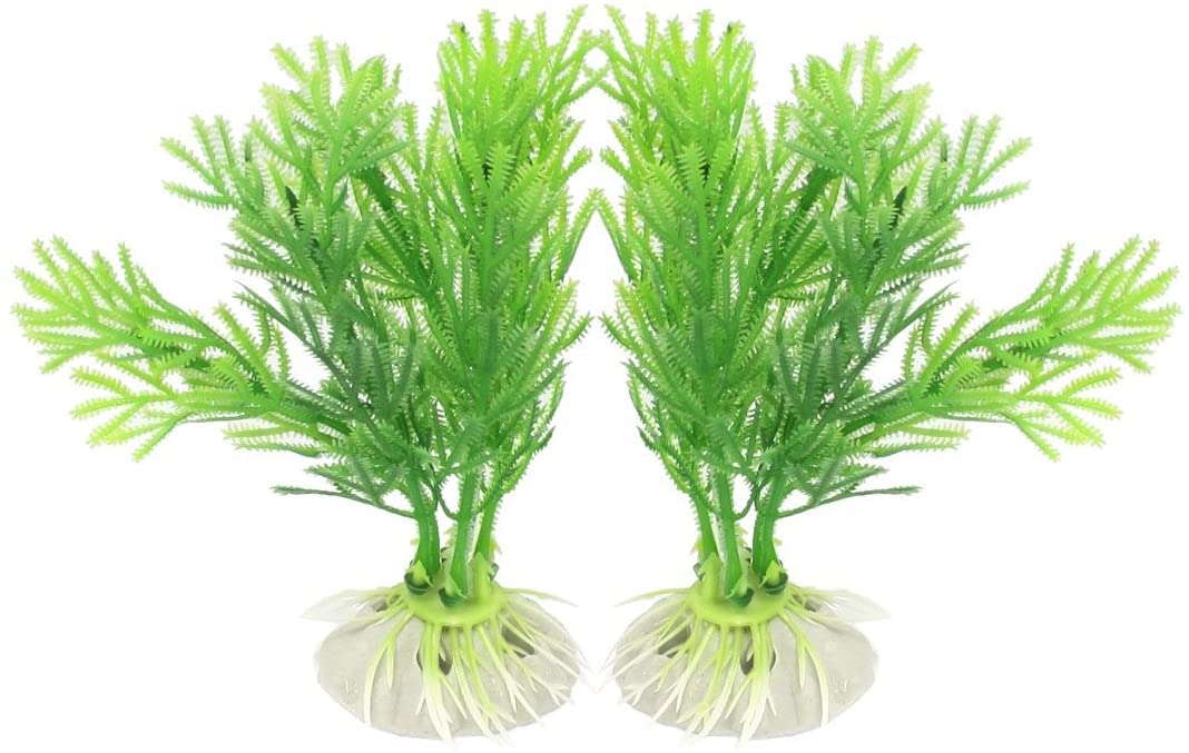 2ピース　セラミックベース水槽エミュレーションウォータープラント Amazon.co.jp: XYWHPGV 2ピースセラミックベース水槽