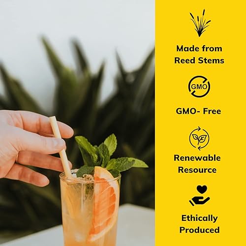 Miniatura 4 de HAY! Straws Pajitas de tallo de caña jumbo  Martini 6 pulgadas  250 unidades  0.197-0.295 in de diámetro  100% a base de plantas, certificado