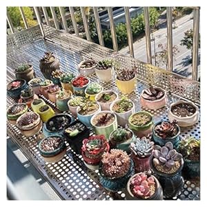 Blacha Perforowana Antykradzieżowa Generic T-I-N-G-ZHE-5022_23