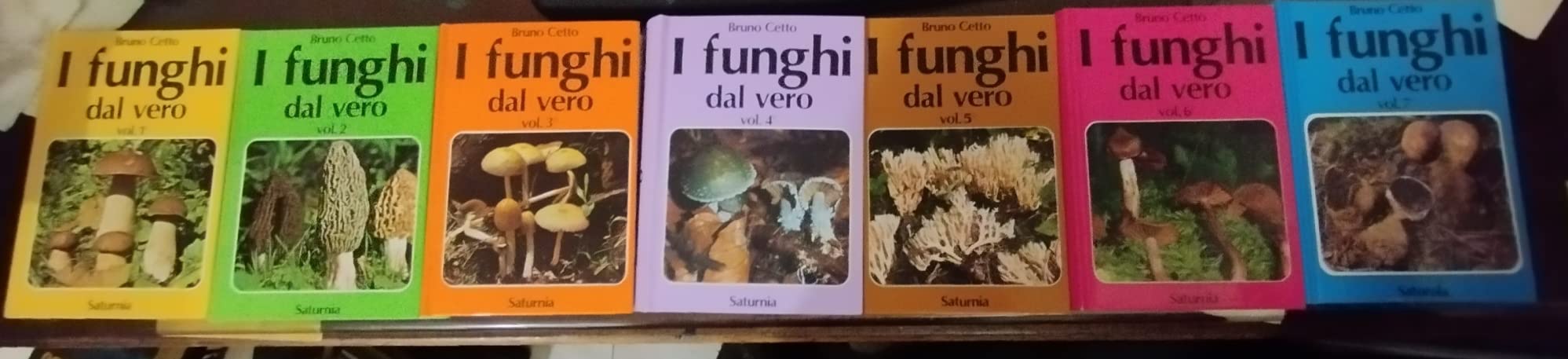 I Funghi Dal Vero (Vol. 1) - 4