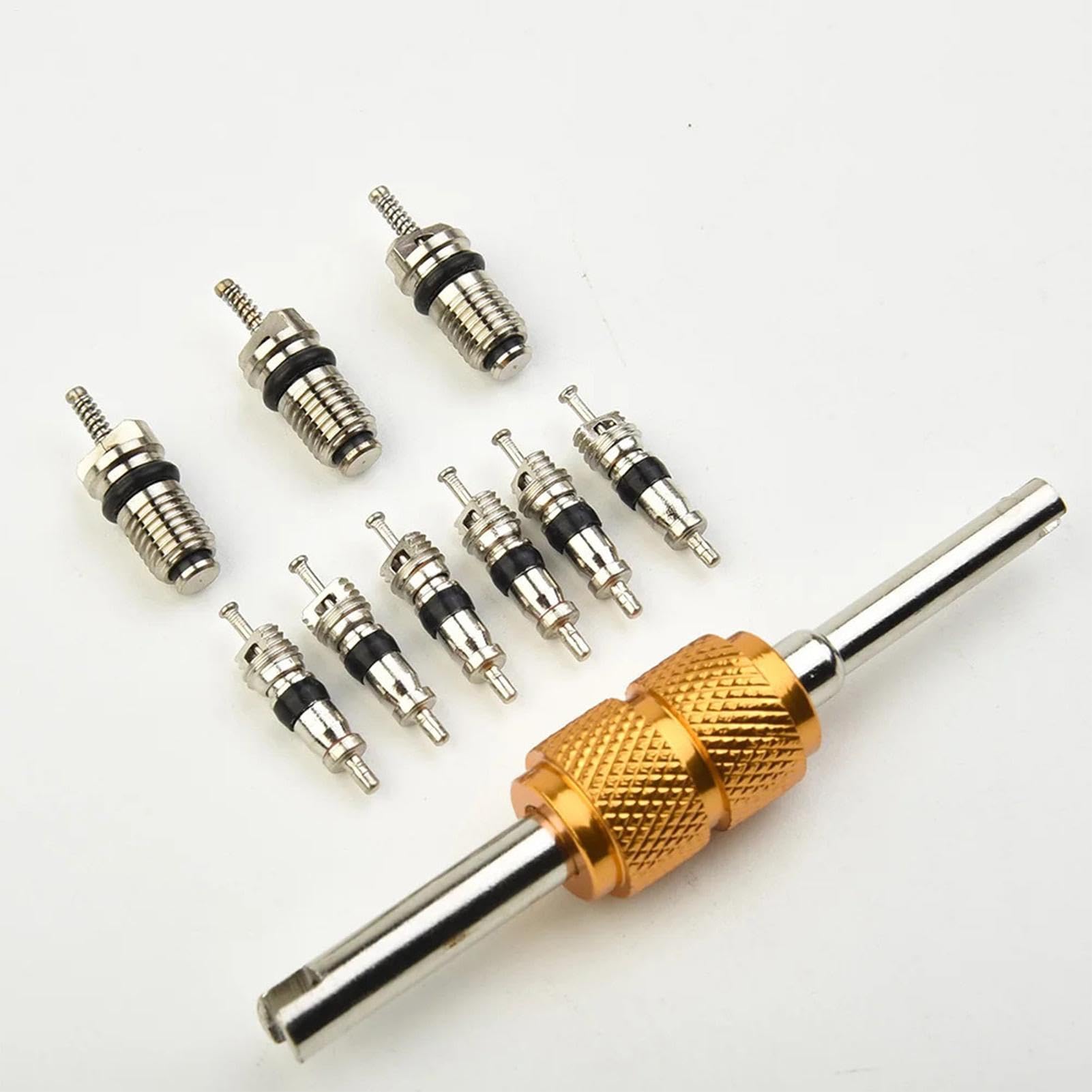 Kit nucleo valvola AC – Strumenti di riparazione aria condizionata auto, set di 10 nuclei valvola R134a con guarnizioni ad alta pressione, nucleo refrigerazione camper, ricambi auto AC per garage
