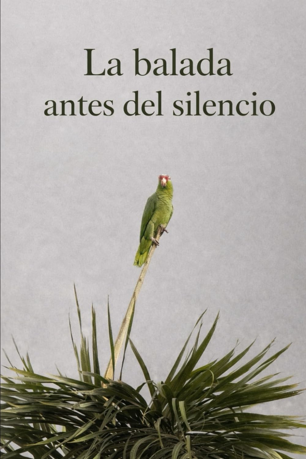Balada antes del silencio