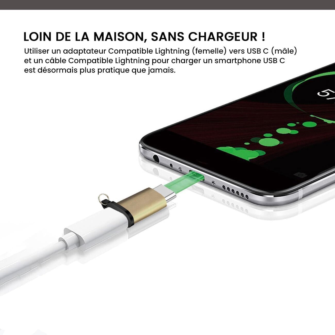Jembe Convertisseur Micro USB Femelle Vers USB C Mâle, Chargement, Transfert De Donnée | Lot De X10, Bleu - Téléphonie