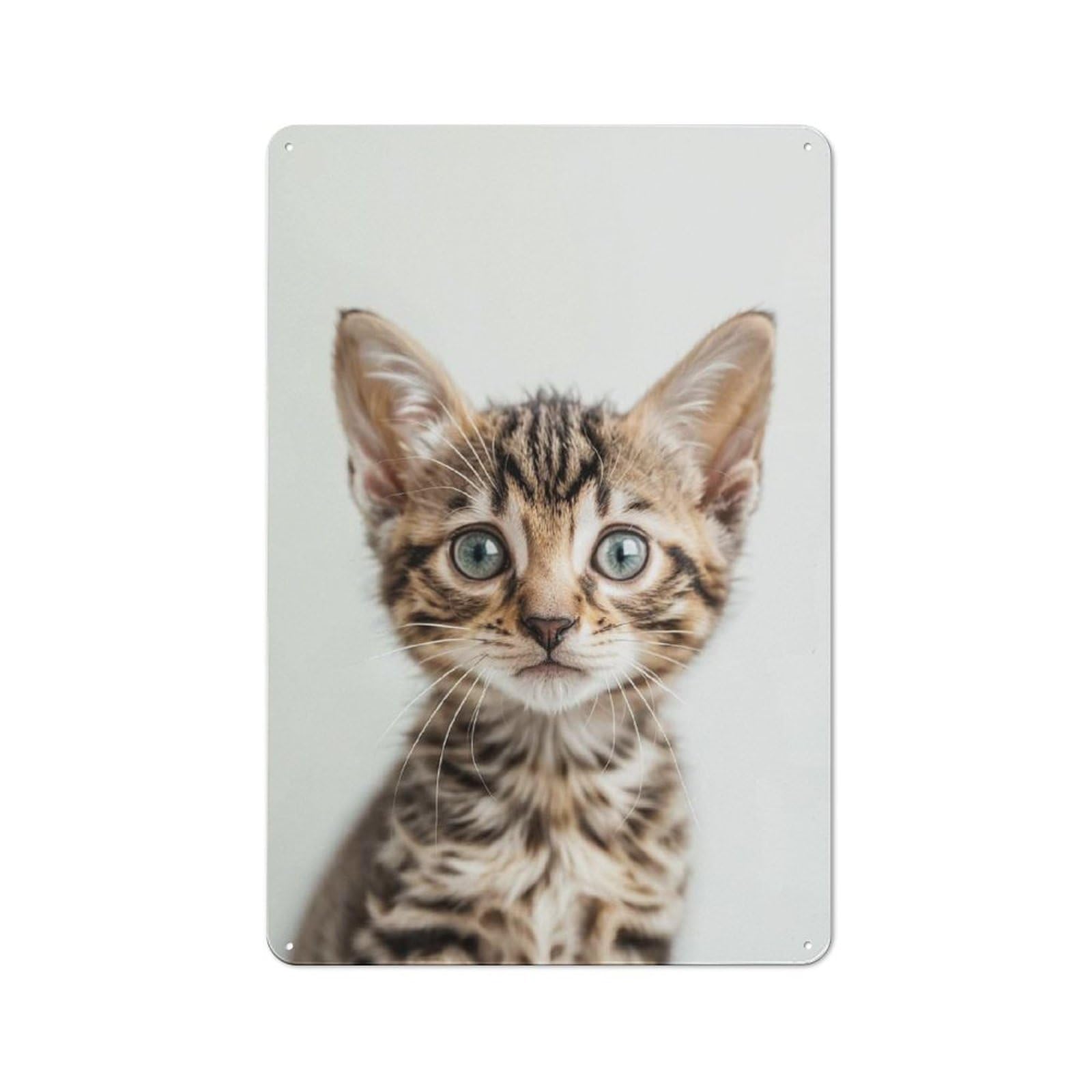 Junmoney Style-19 Tin Sign 30X20cm With Cute Baby Bengal Cat For Workshop Wall, Retro Decor, For Metal Sign Collectors, For Cafés, Pubs And Restaurants