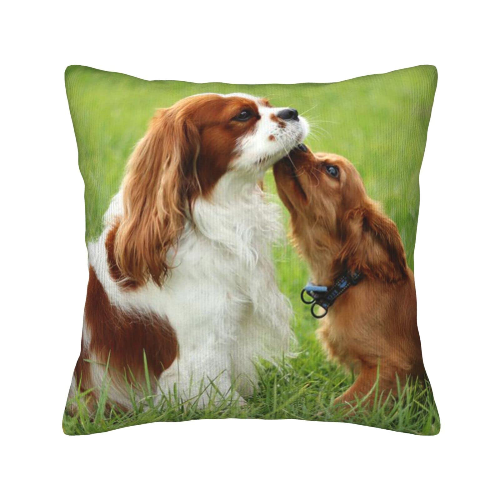 Yingd Printed Pillowcases Cavalier King Charles Spaniel Square Pillowcase Plush Cushion Cover 45X45cm