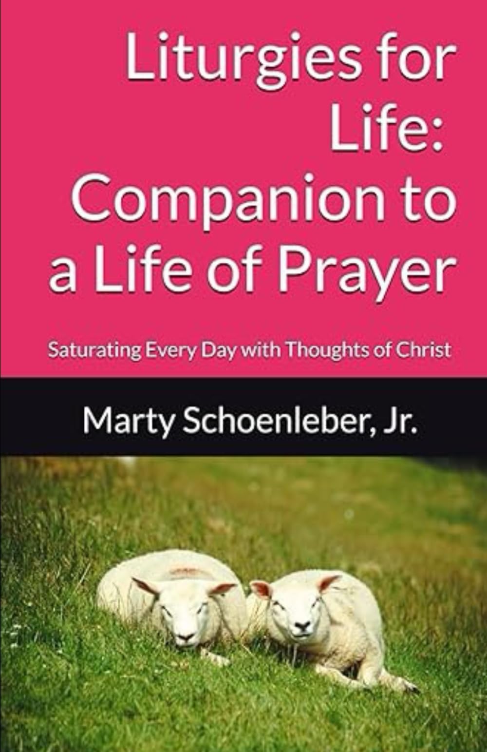 Liturgies for Life: Companion to a Life of Prayer