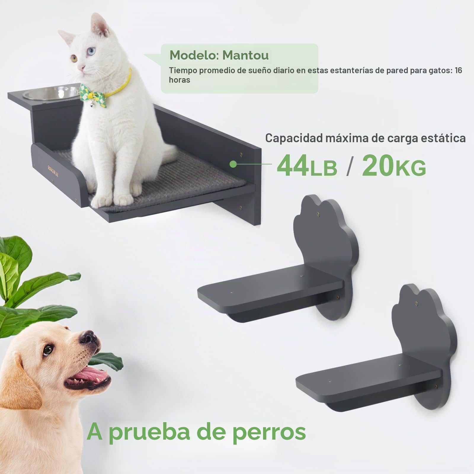 SONGWAY Estantes y Comedero de Pared para Gatos con 2 Escalones y Cuencos de Acero Inoxidable, Estación de Alimentación Elevada a Prueba de Perros, Muebles