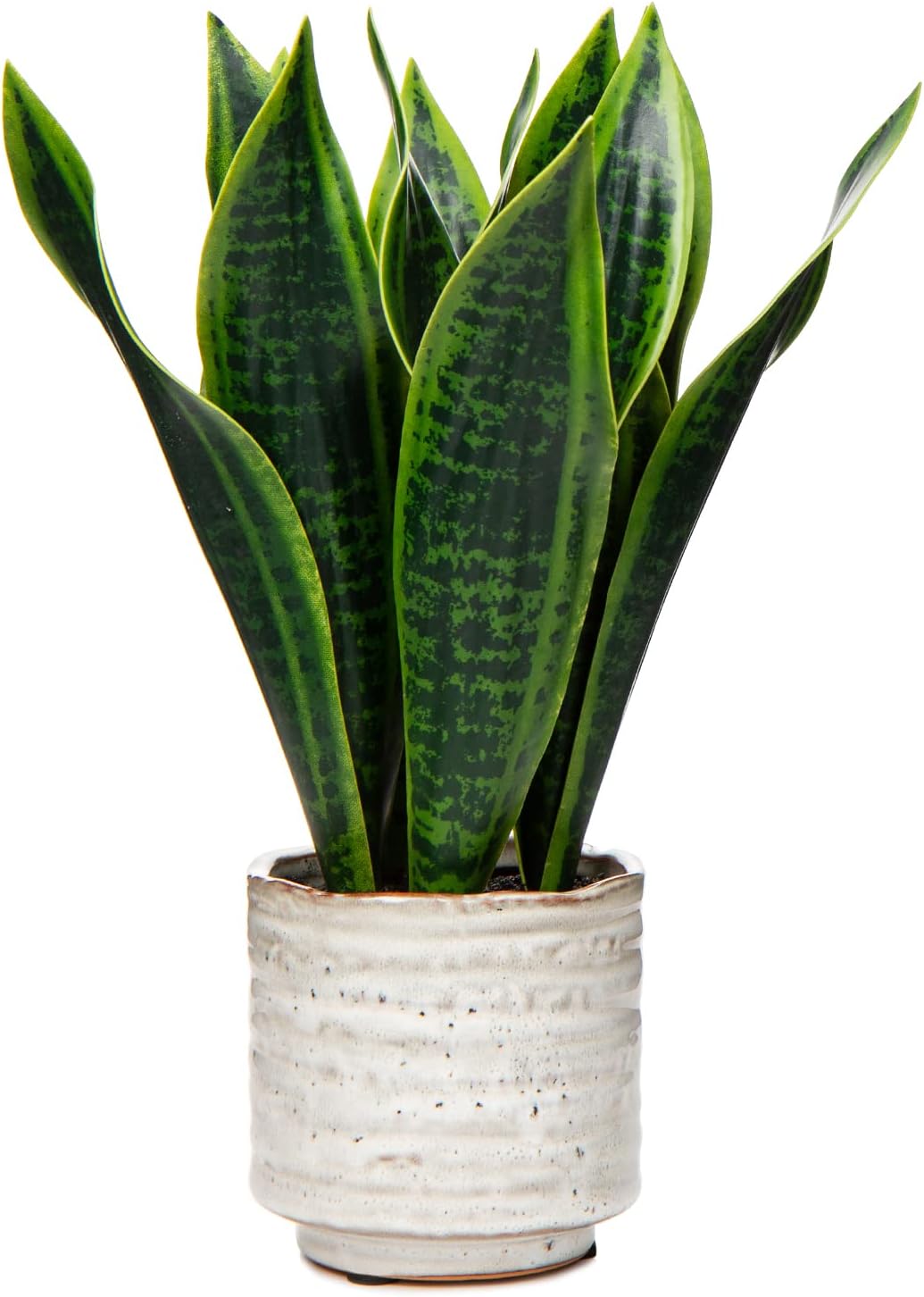 Hollyone Artificial Snake Plant with Ceramic Pot, 12