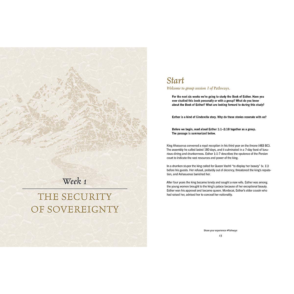 Pathways - Bible Study Book: From Providence to Purpose - Image 2